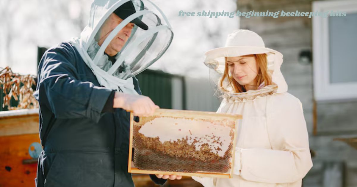 free shipping beginning beekeeping kits